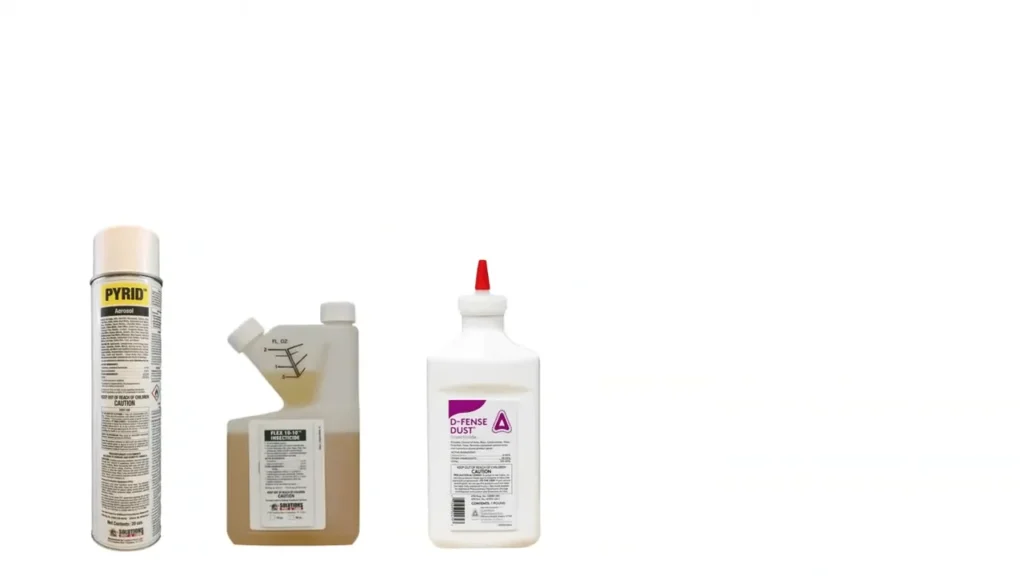 our bed bug treatment process