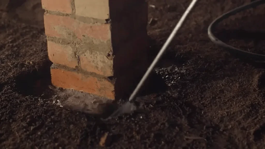 Pest Control Cane Island