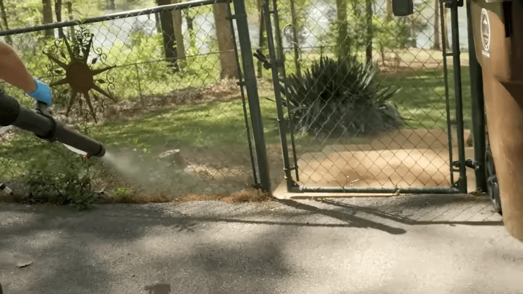 pest control cinco ranch
