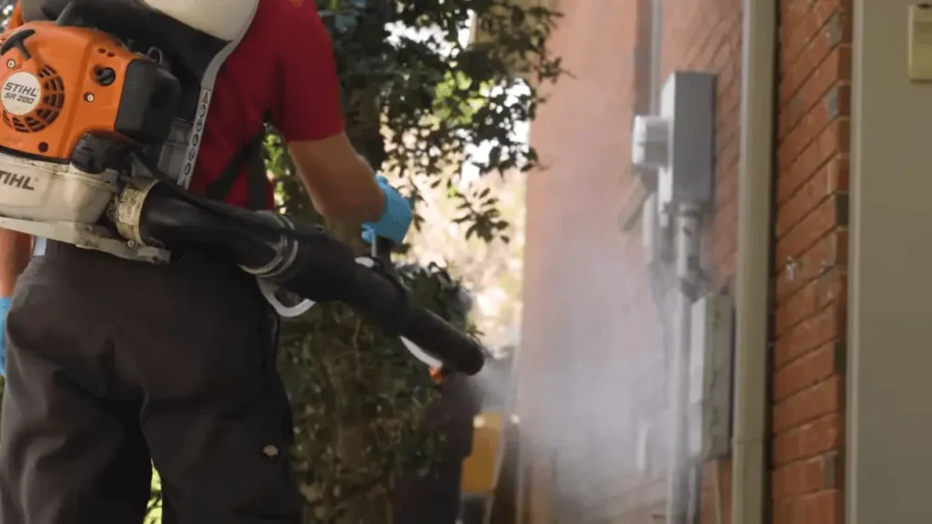professional pest control in katy